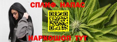 мяу мяу мука Будённовск