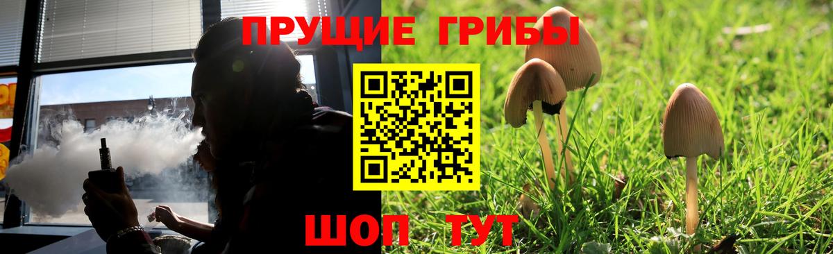 Галлюциногенные грибы мицелий Похвистнево